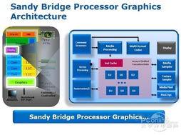 sandy最新爆料,揭秘娱乐圈惊天秘密