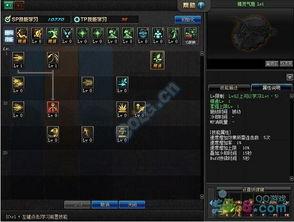 地下城弓箭手最新爆料,新爆料揭示神秘技能与装备升级