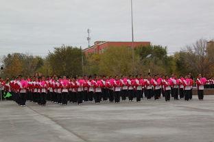 新湖总场爆料最新消息今天,今日热点事件深度解析