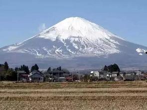 富士山最新爆料新闻视频