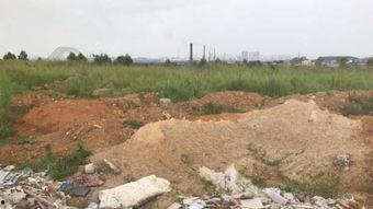 广西土地爆料最新消息今天,最新爆料揭示土地市场新动向”