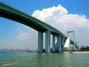 厦门大桥爆料视频最新