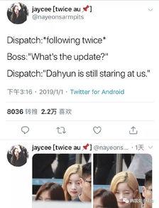 d家最新爆料,最新爆料背后的惊人真相